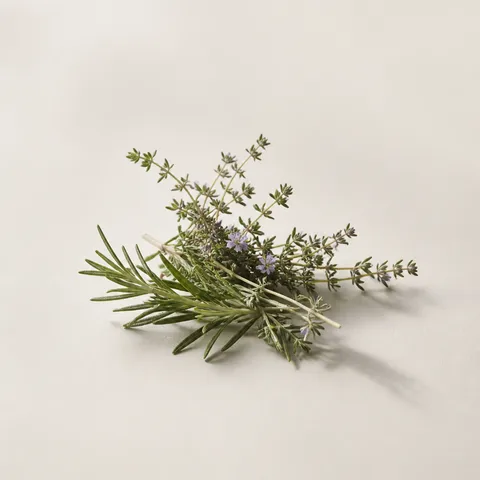 Thyme and Rosemary