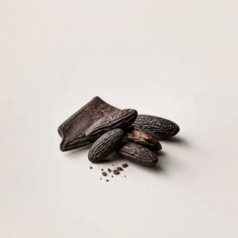 Madagascar Tonka Bean