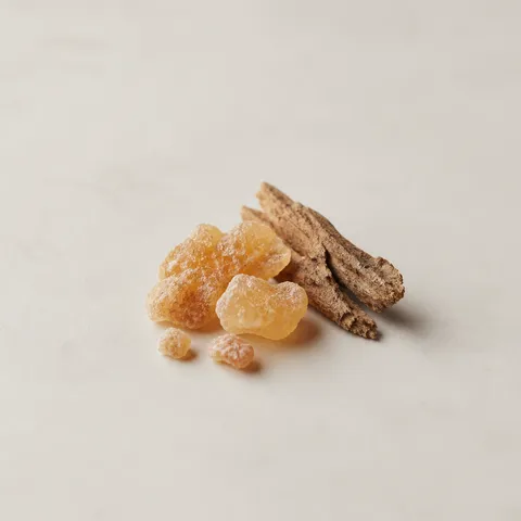 Styrax Benzoin