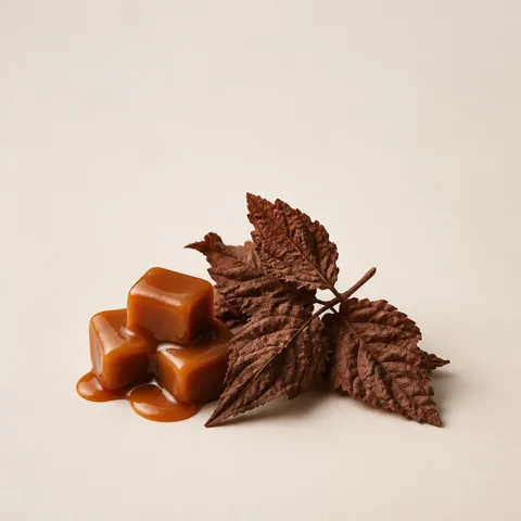 Turkish Caramel & Red Indian Patchouli