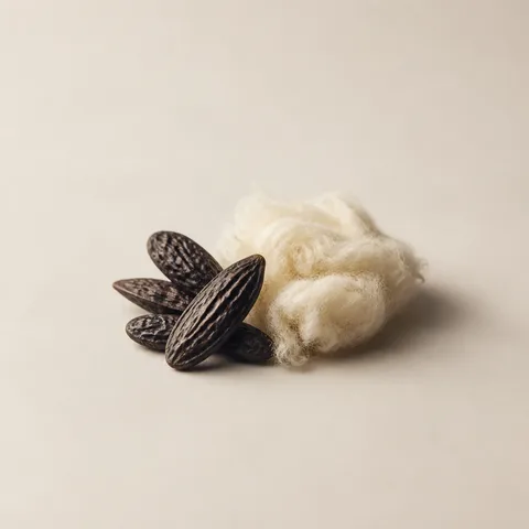 Musk & Tonka Bean