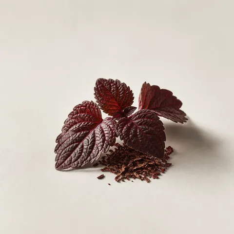 Red Patchouly