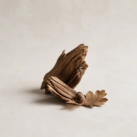 Tuscan Oak