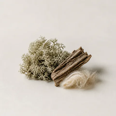 Romagna Oak Moss and Musk