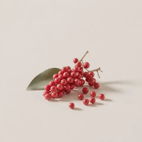 Peruvian Pink Pepper