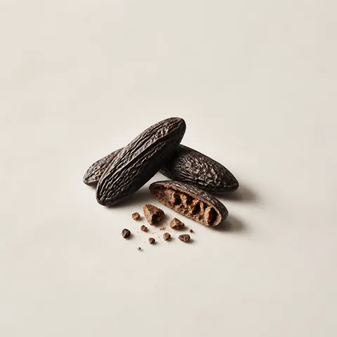 Colombian Tonka Bean
