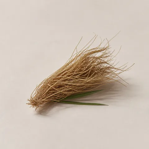 Tahiti Vetiver