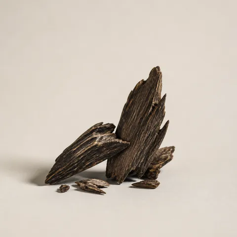 Cambodian Agarwood