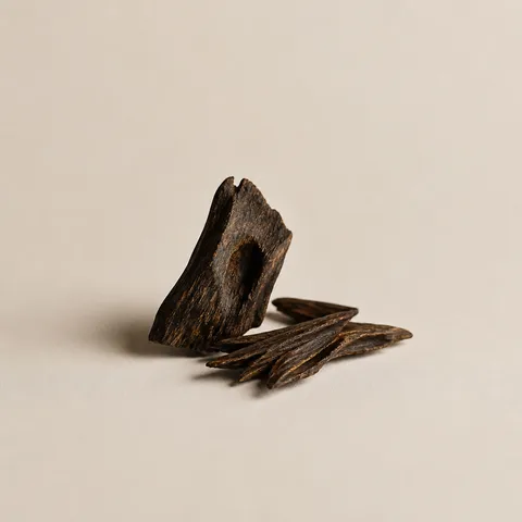 Lao Oudh