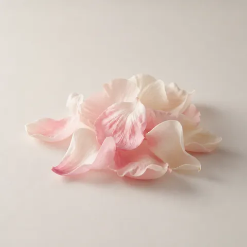 Petaly Accord
