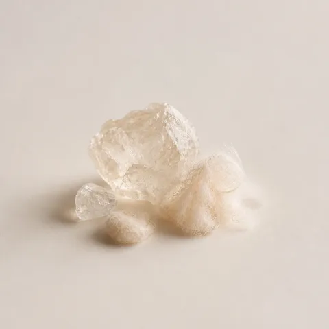 AmbreXolide