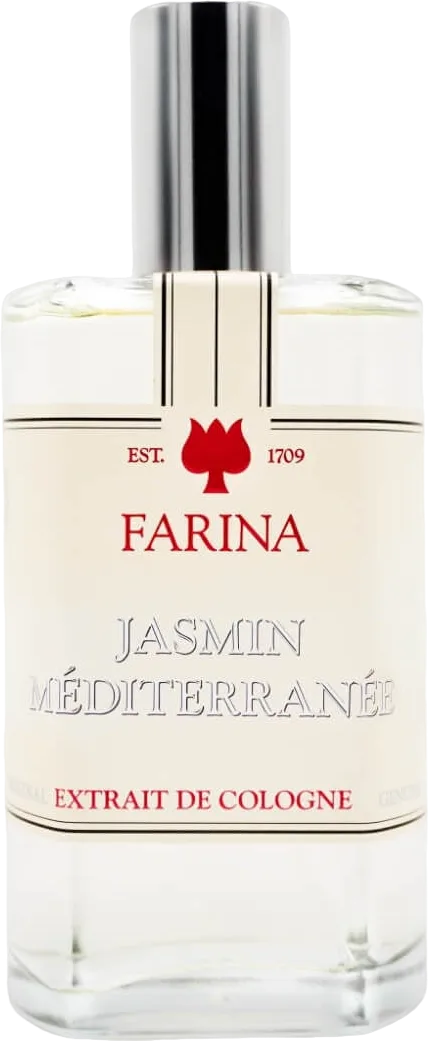 Jasmin Méditerranée