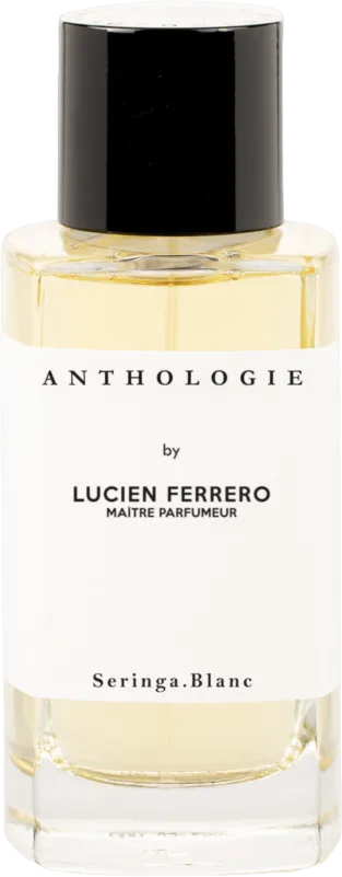 Seringa Blanc