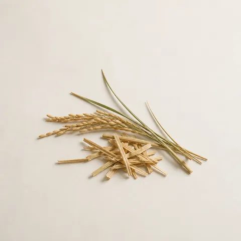 Rice Straw