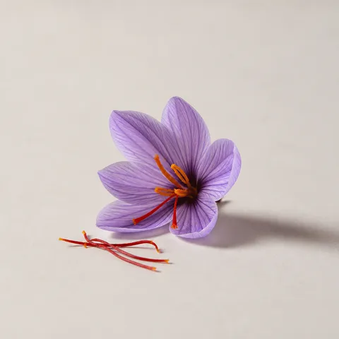 サフランの花