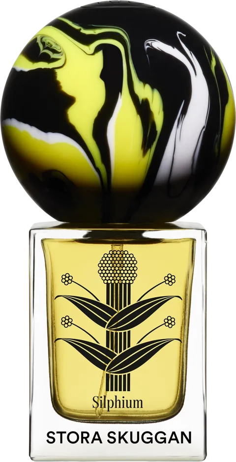 Silphium