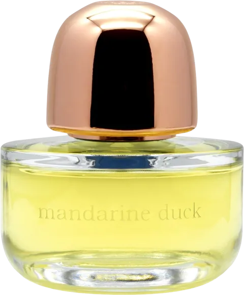 mandarine duck