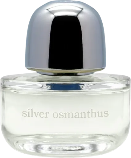 silver osmanthus