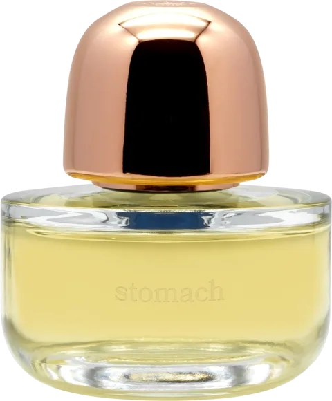 stomach
