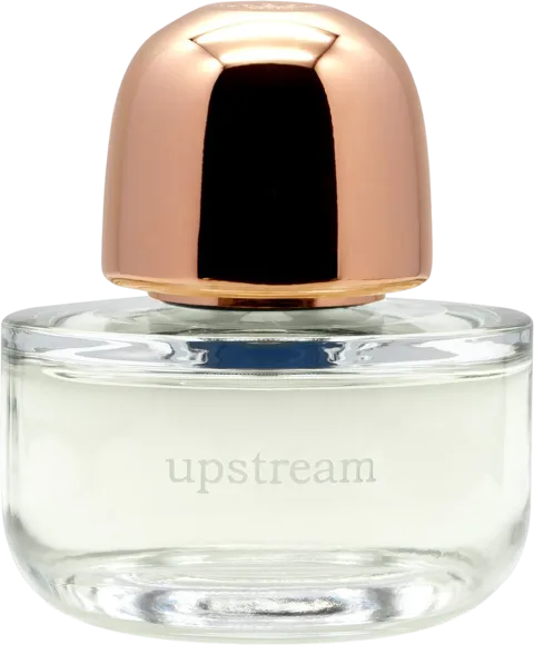 upstream