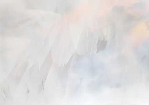 エグザルトリド