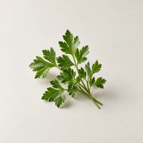 Parsley