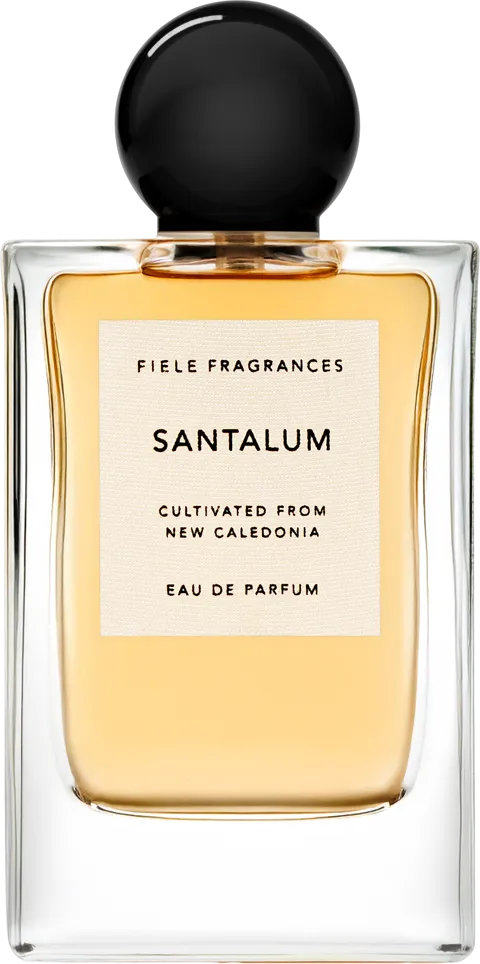 Santalum