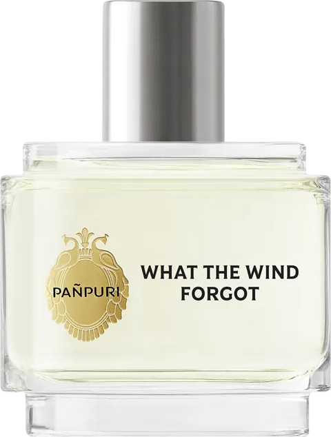 What The Wind Forgot