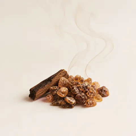 Incense Fusion