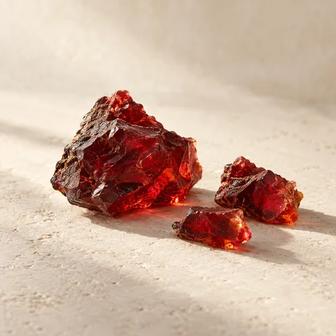 Dragon's Blood