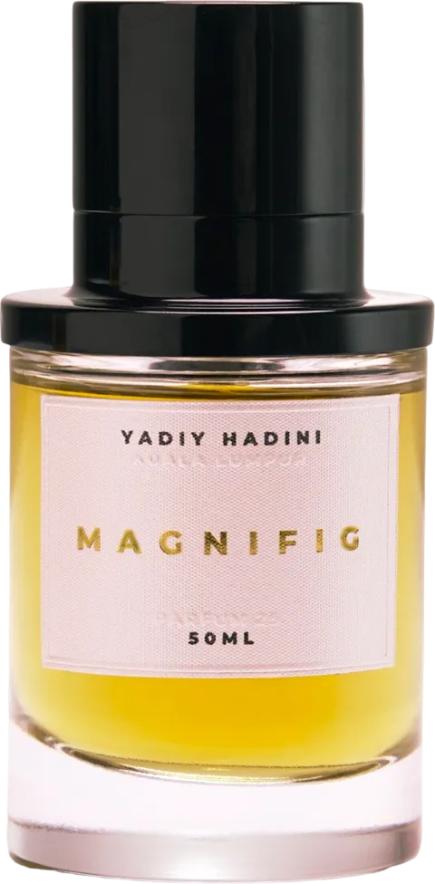 Magnifig