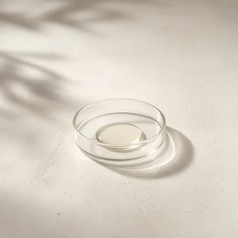 パロサント フルーツ
