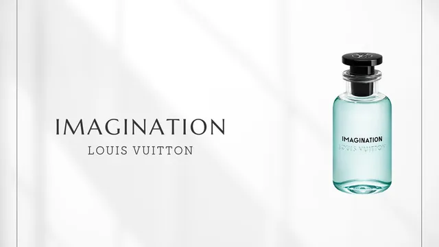 Imagination