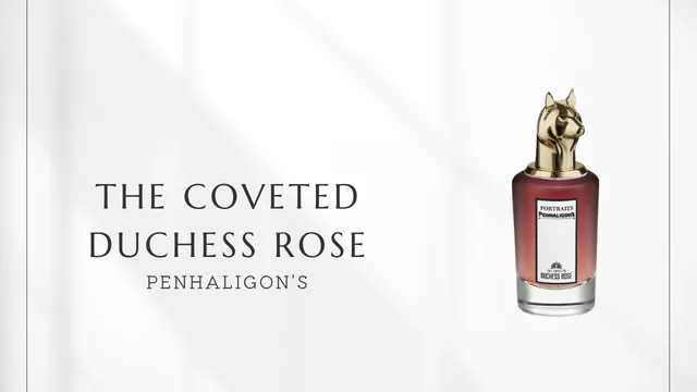 The Coveted Duchess Rose