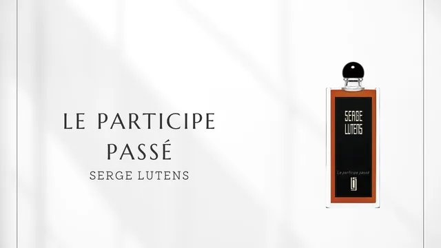 Le Participe Passé