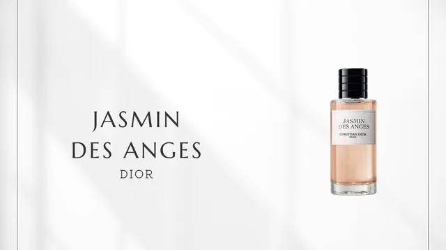 Jasmin des Anges