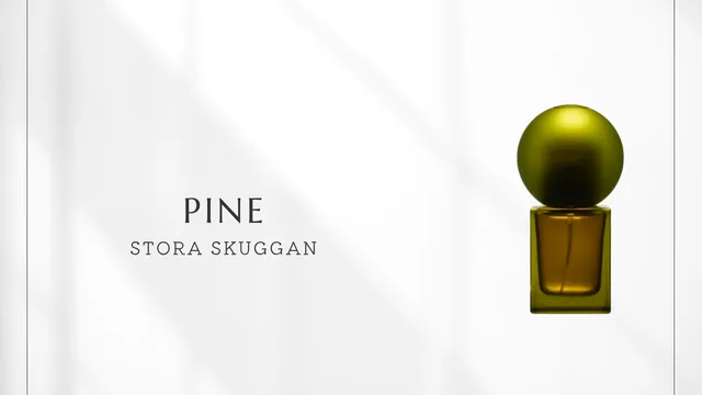 Pine Eau de Parfum