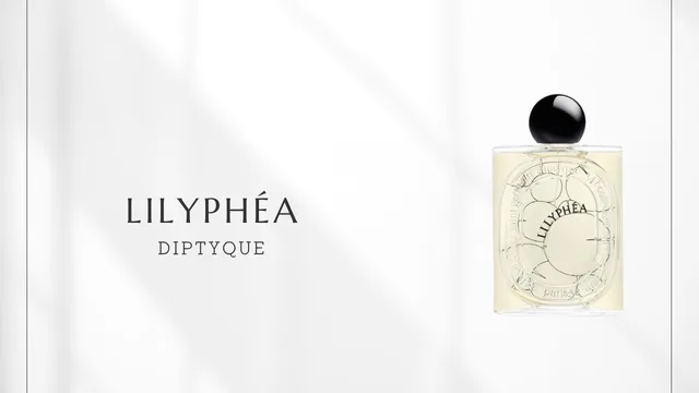 Lilyphéa