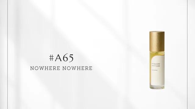 #A65