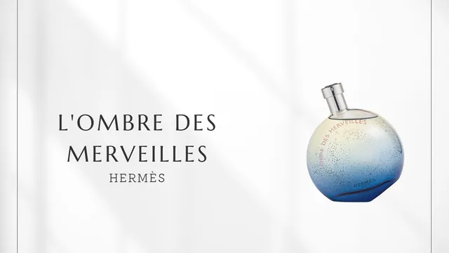 L'Ombre des Merveilles