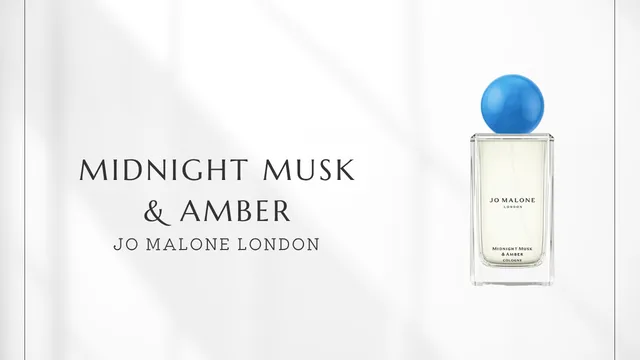 Midnight Musk & Amber
