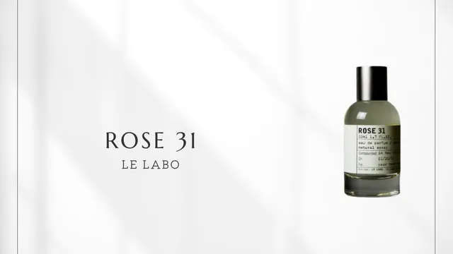 Rose 31
