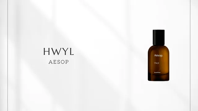 Hwyl