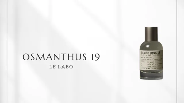OSMANTHUS 19