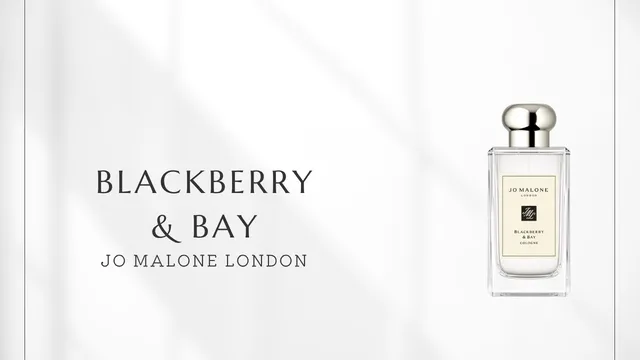 Blackberry & Bay