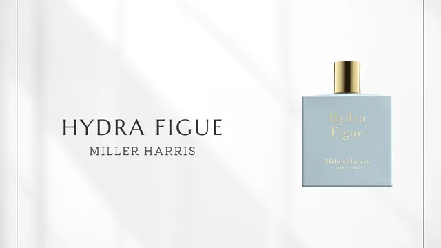 Hydra Figue