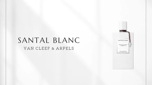 Santal Blanc