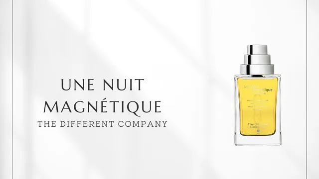 Une Nuit Magnétique