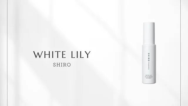 White Lily