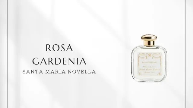 Rosa Gardenia